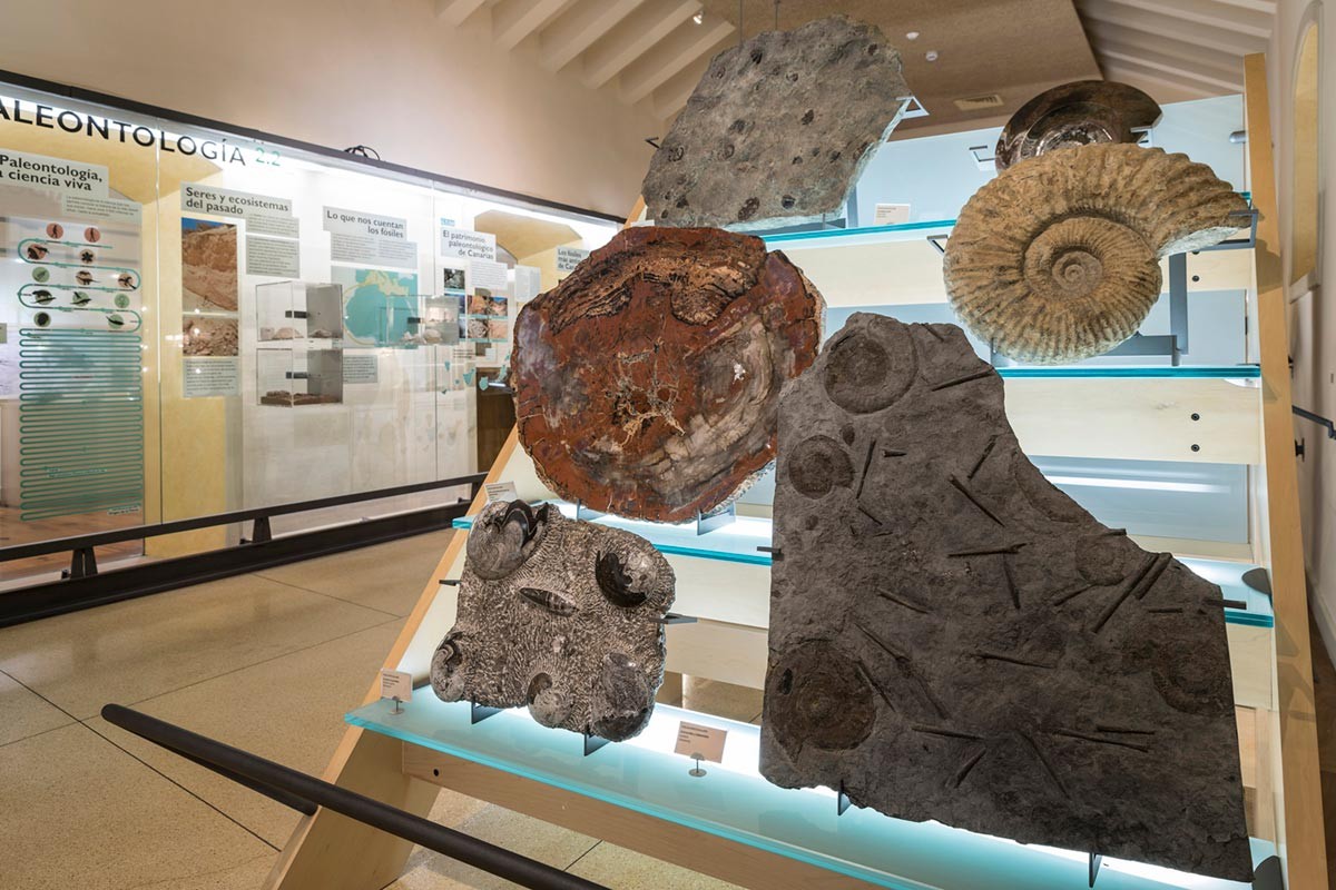 Archeologische resten van het MUNA-museum van Tenerife