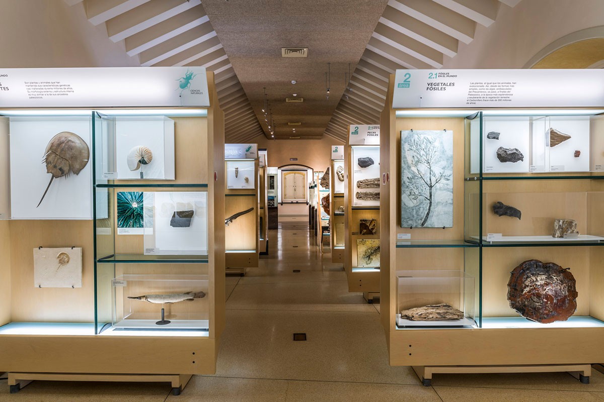 Vitrines met exposities van het MUNA-museum van Tenerife