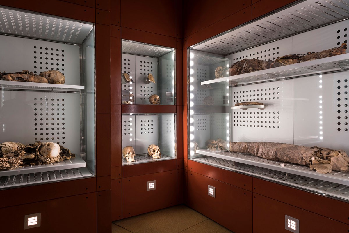 Afbeelding van de mummies in het MUNA-museum op Tenerife