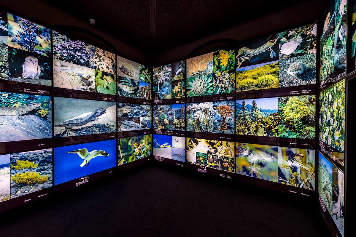 Pannelli esplicativi che spiegano i benefici del turismo a Tenerife nel MUNA