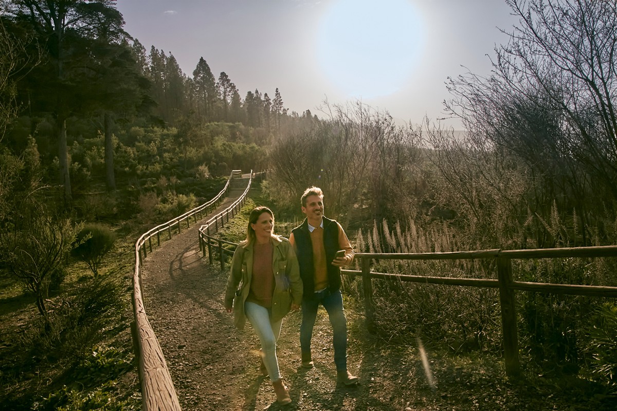 Route audio-guidée pendant la visite Teide Legend Tour