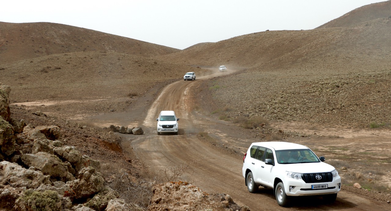 Safari-Exkursion an der Playa de Cofete, zur Erkundung ihrer einzigartigen Landschaften
