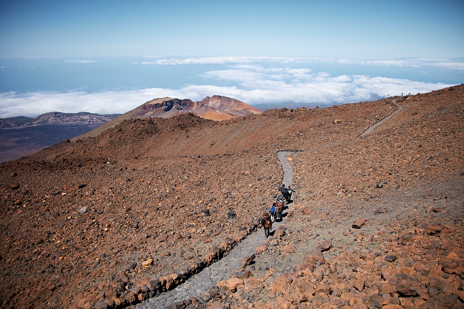 Panoramic view of one of the trails that can be done at the top with your Cable Car tickets