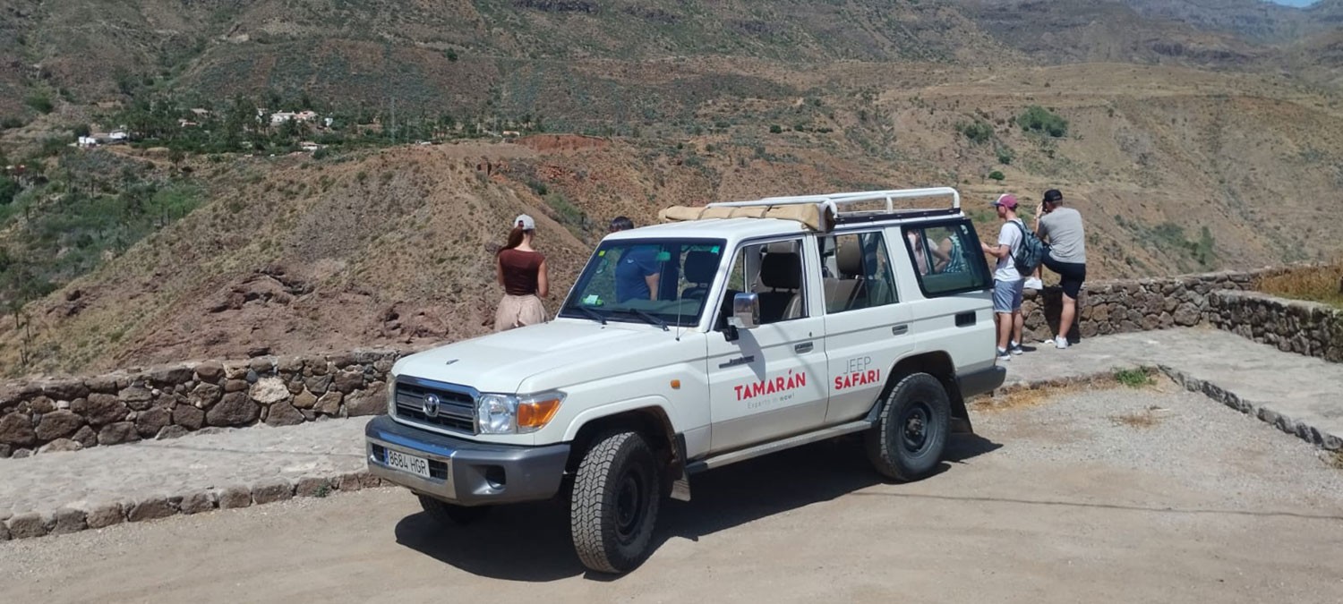 Tamarán-klanten genieten van het landschap vanaf de Mirador de la Degollada de las Yeguas naast de jeepsafari. Tamarán-klanten genieten van het landschap vanaf de Mirador de la Degollada de las Yeguas naast de jeepsafari.