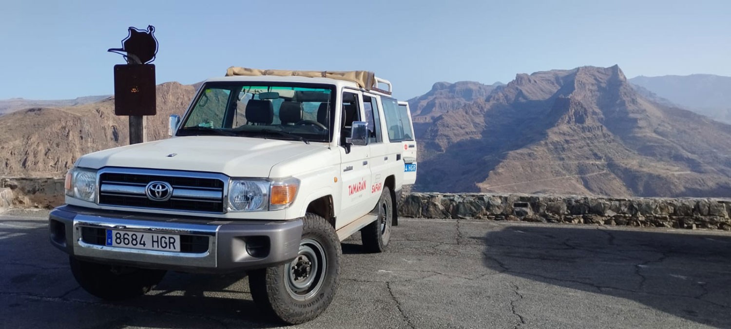 Tamarán-jeep geparkeerd voor de Mirador de la Degollada de las Yeguas, op Gran Canaria. Tamarán-jeep geparkeerd voor de Mirador de la Degollada de las Yeguas, op Gran Canaria.
