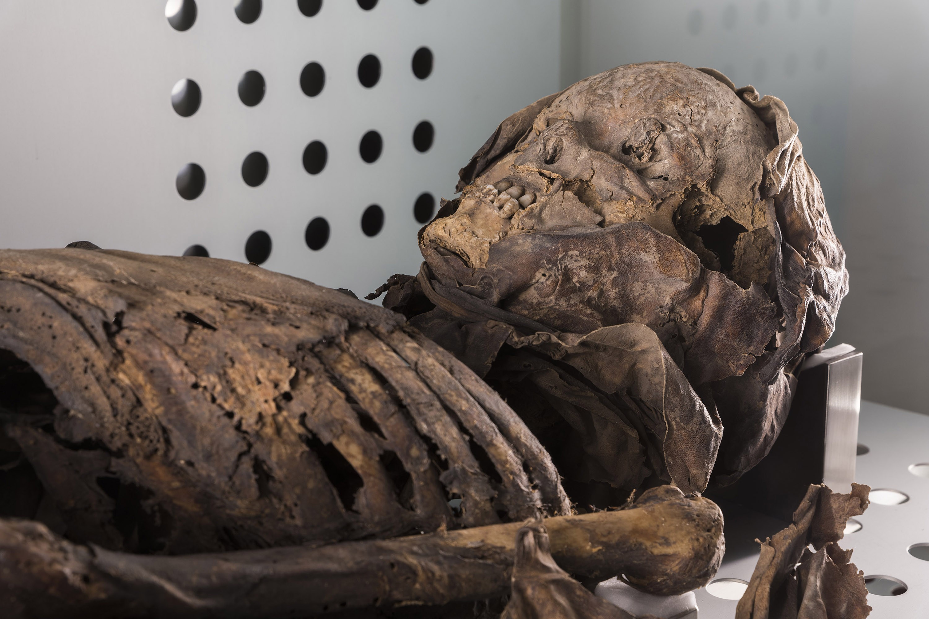 Le mummie guanche del MUNA fanno parte del patrimonio culturale di Tenerife