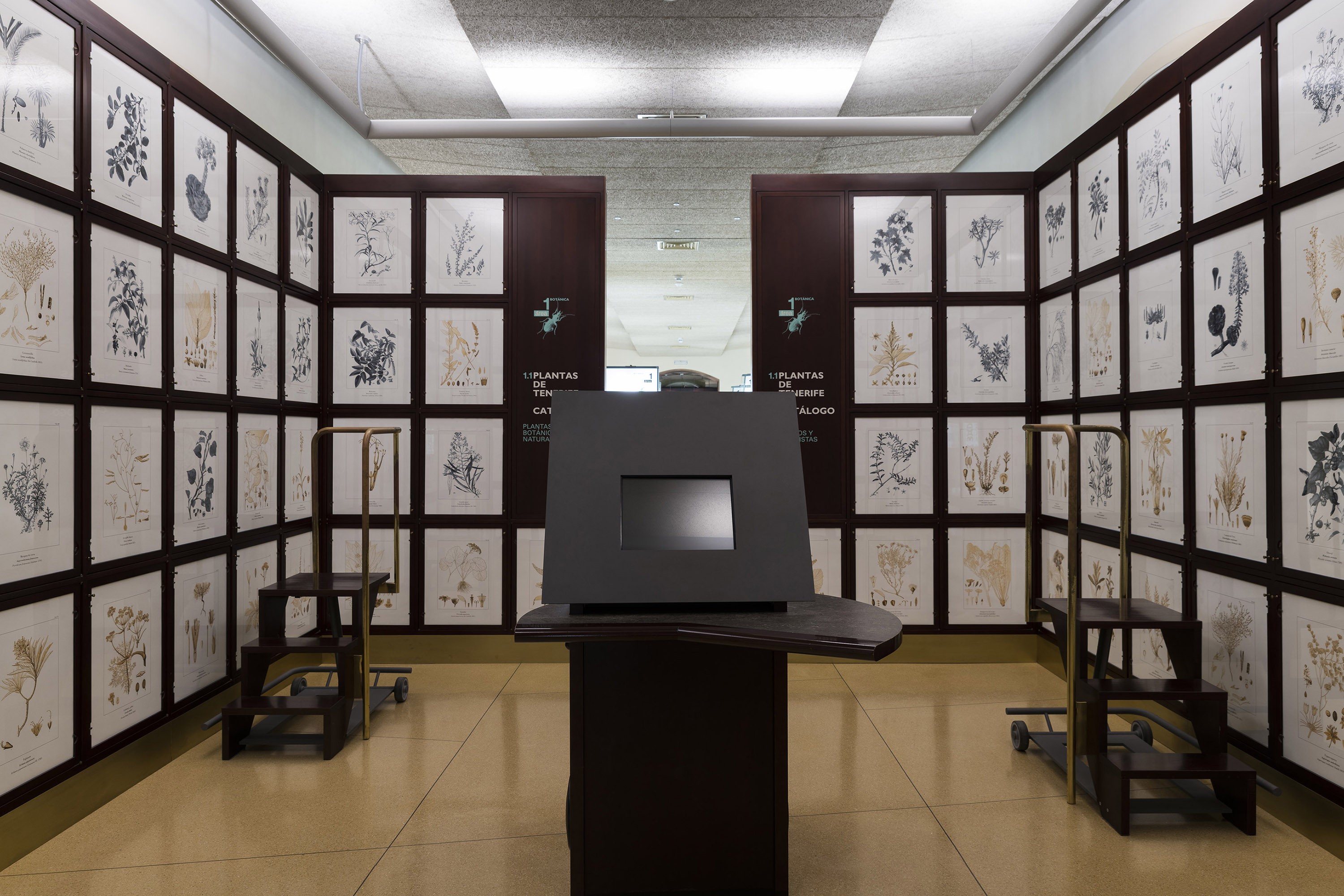 De Wetenschap en Cultuur op Tenerife komen samen in het MUNA-museum