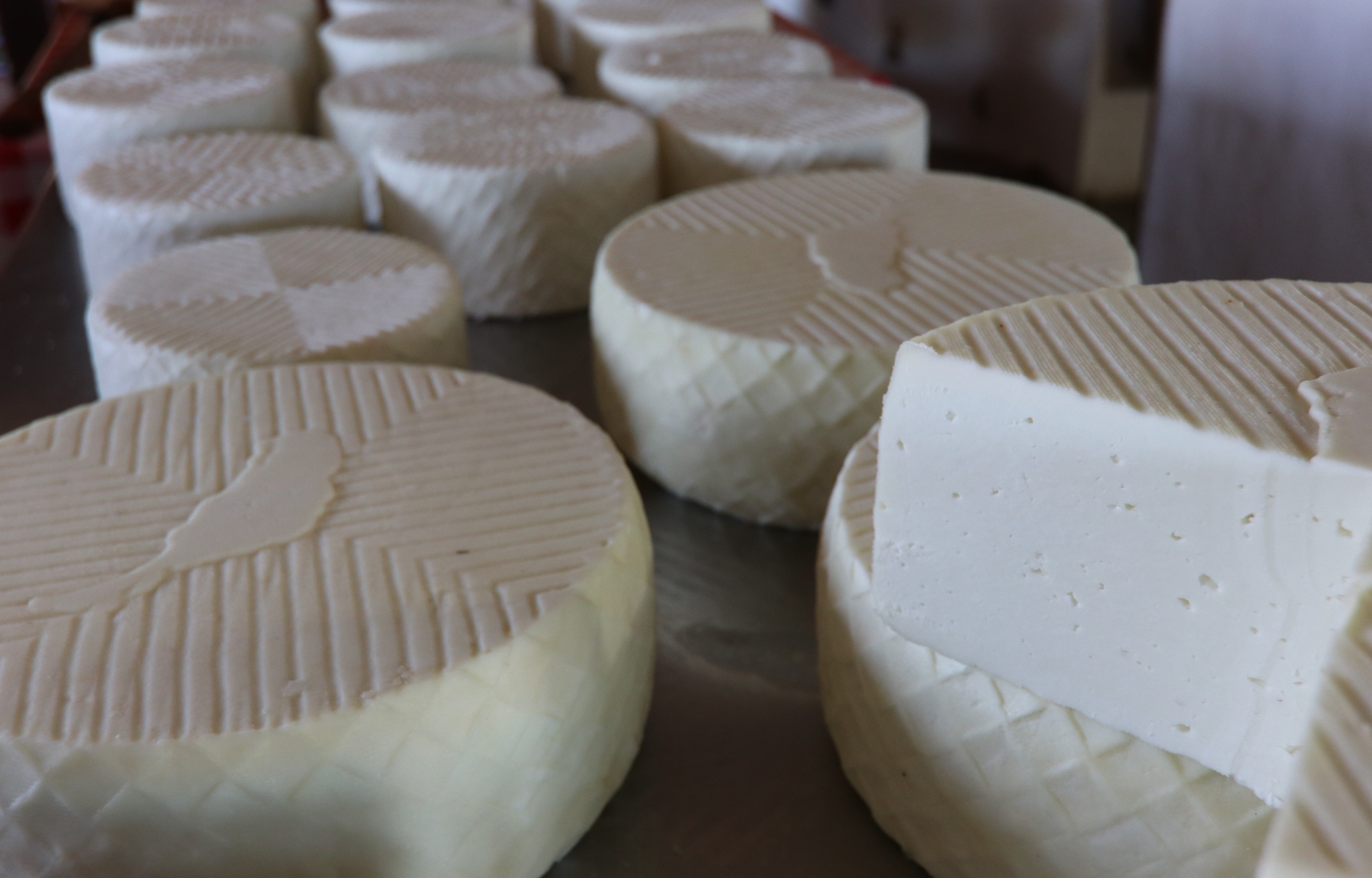Visit to the Majorero Cheese Museum on the Fuerteventura tour.