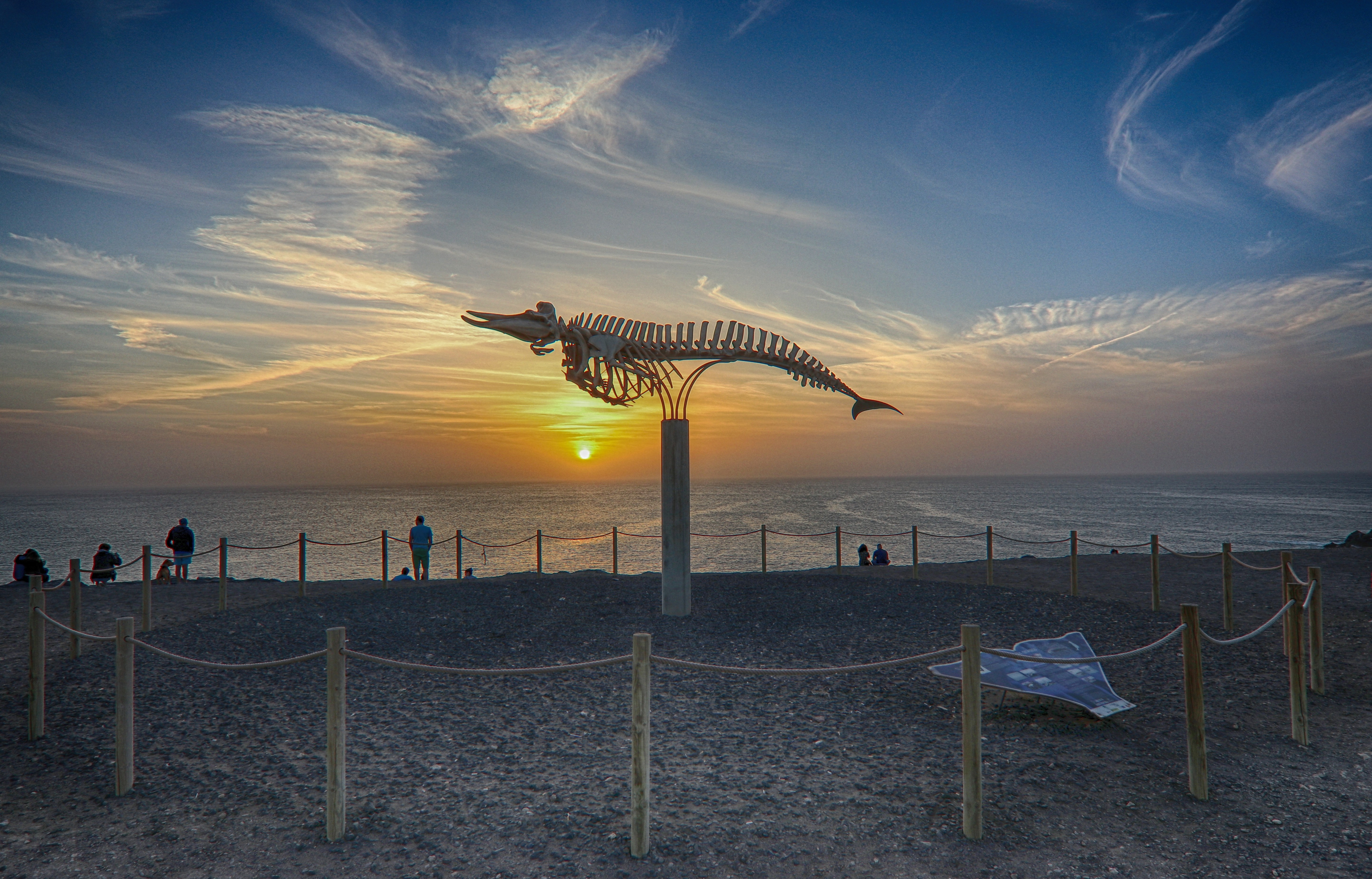 Skulptur eines Cuvier-Schnabelwals auf Fuerteventura Skulptur eines Cuvier-Schnabelwals auf Fuerteventura