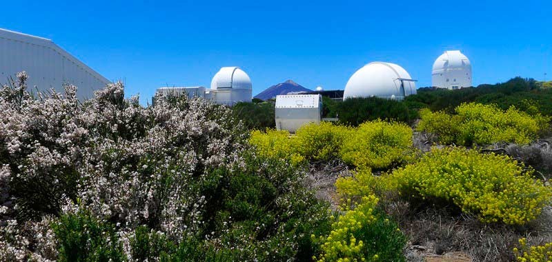 Panoramic view of the Observatory's different telescopes that can be visited exclusively and with a private guide