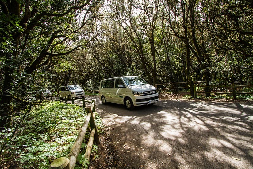 Vans beim Privatausflug auf La Gomera mit der VIP Tour